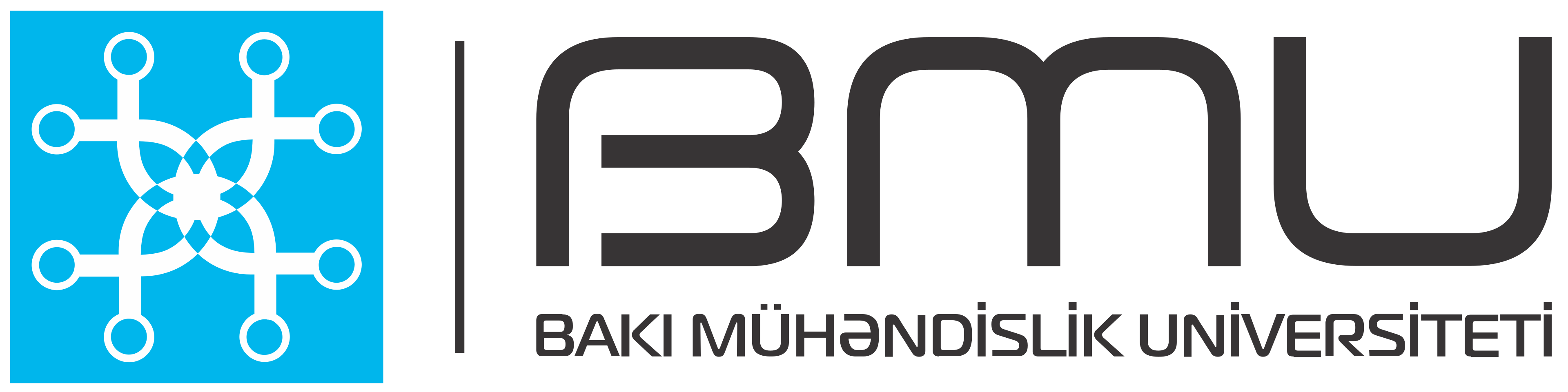 BMU